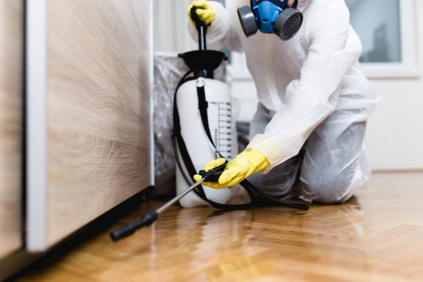 Best Best Pest Control Companies  in Fairview Heights, IL