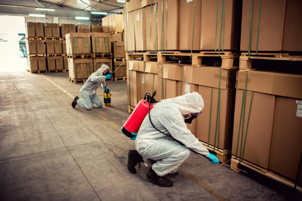 Best Best Pest Control Companies  in Fairview Heights, IL