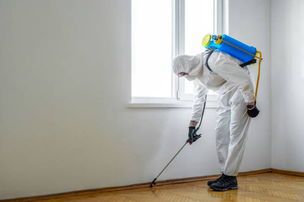 Flea Control Services in Fairview Heights, IL