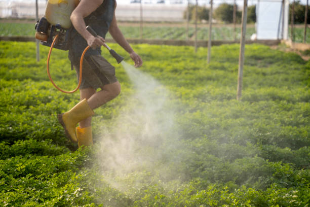 Best Pest Control Near Me  in Fairview Heights, IL