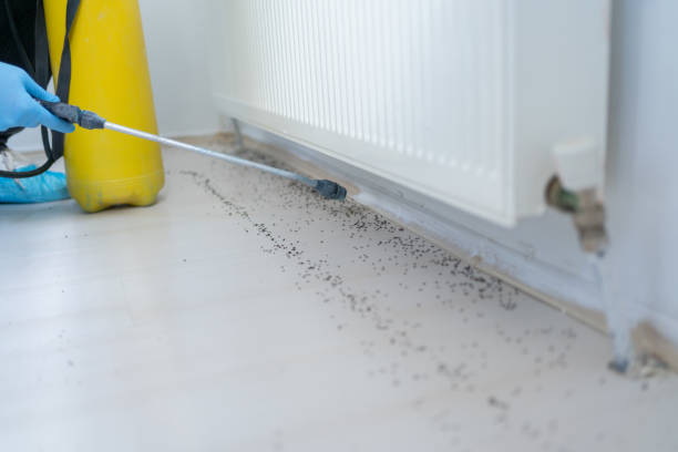 Best Emergency Pest Control  in Fairview Heights, IL