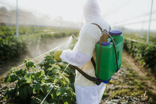 Best Affordable Pest Control Services  in Fairview Heights, IL